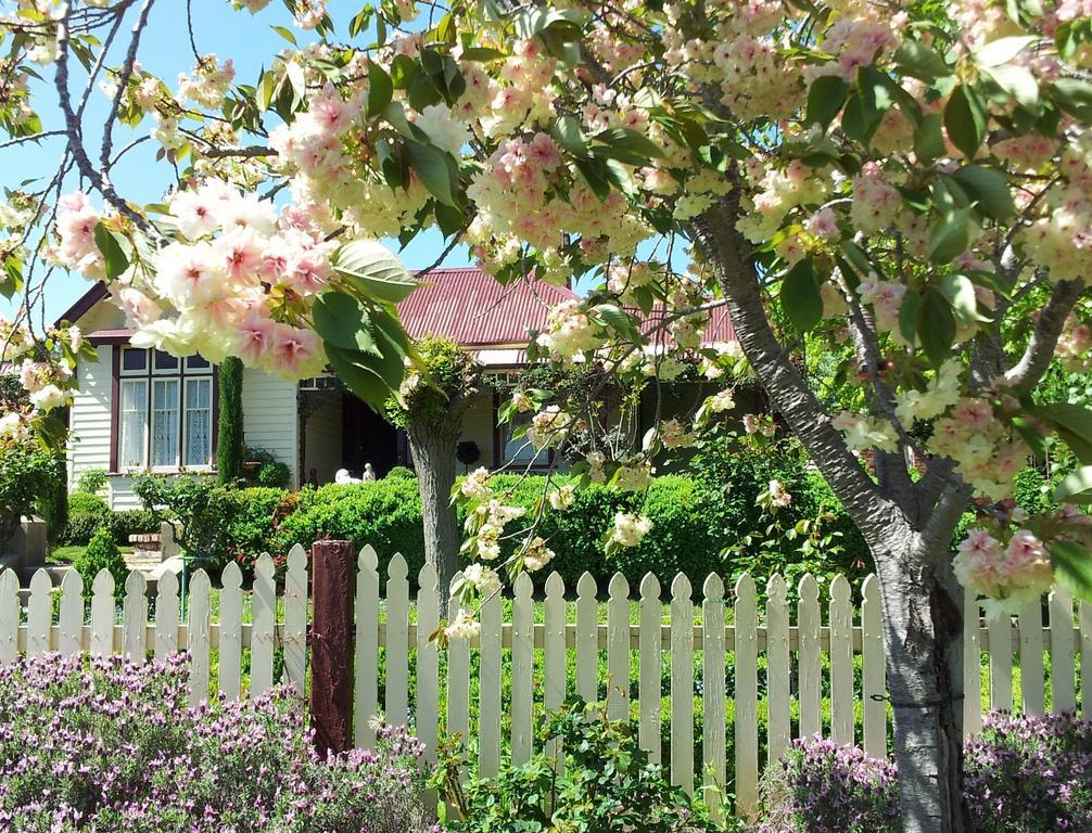 Barnsley House Bed And Breakfast Beechworth Eksteriør billede